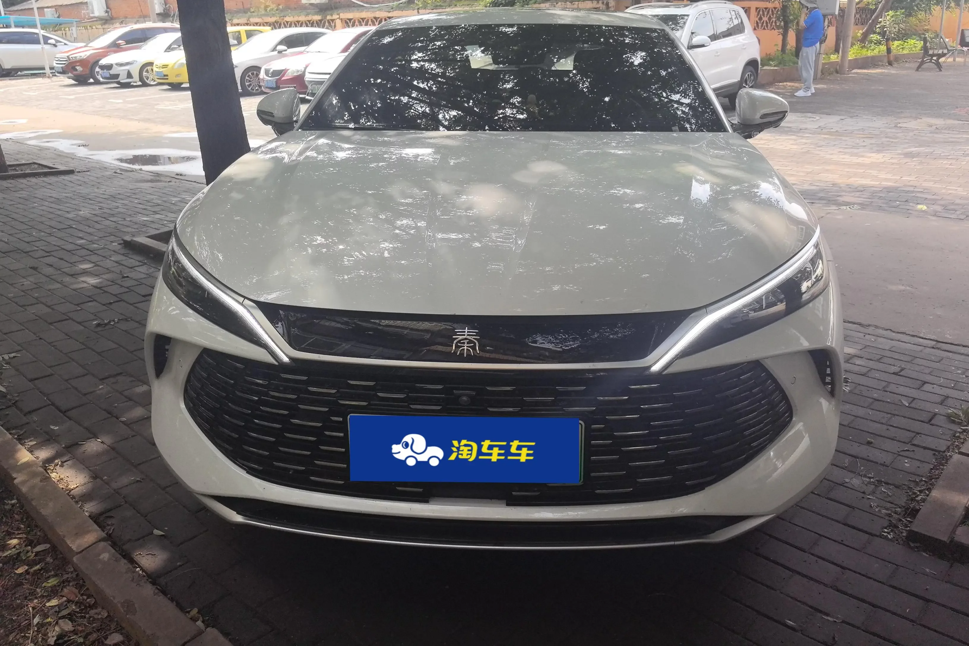 BYD Qin L DM