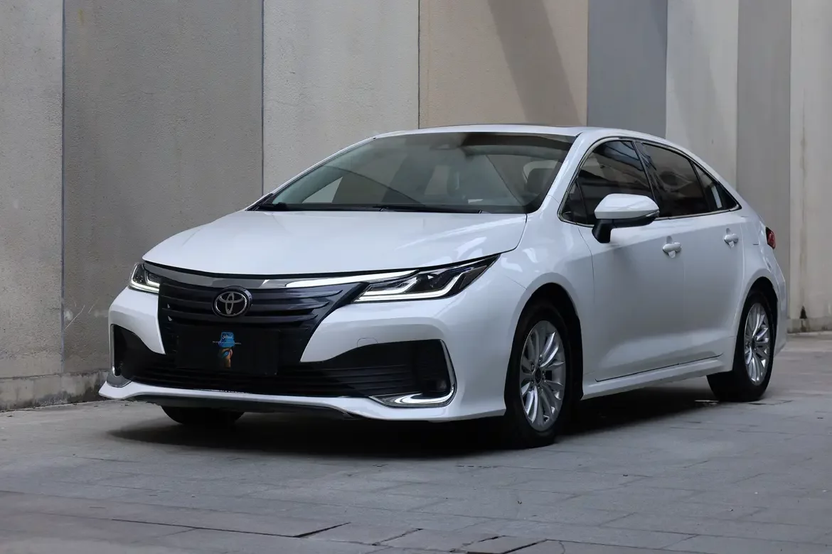 Toyota Asiatic lion