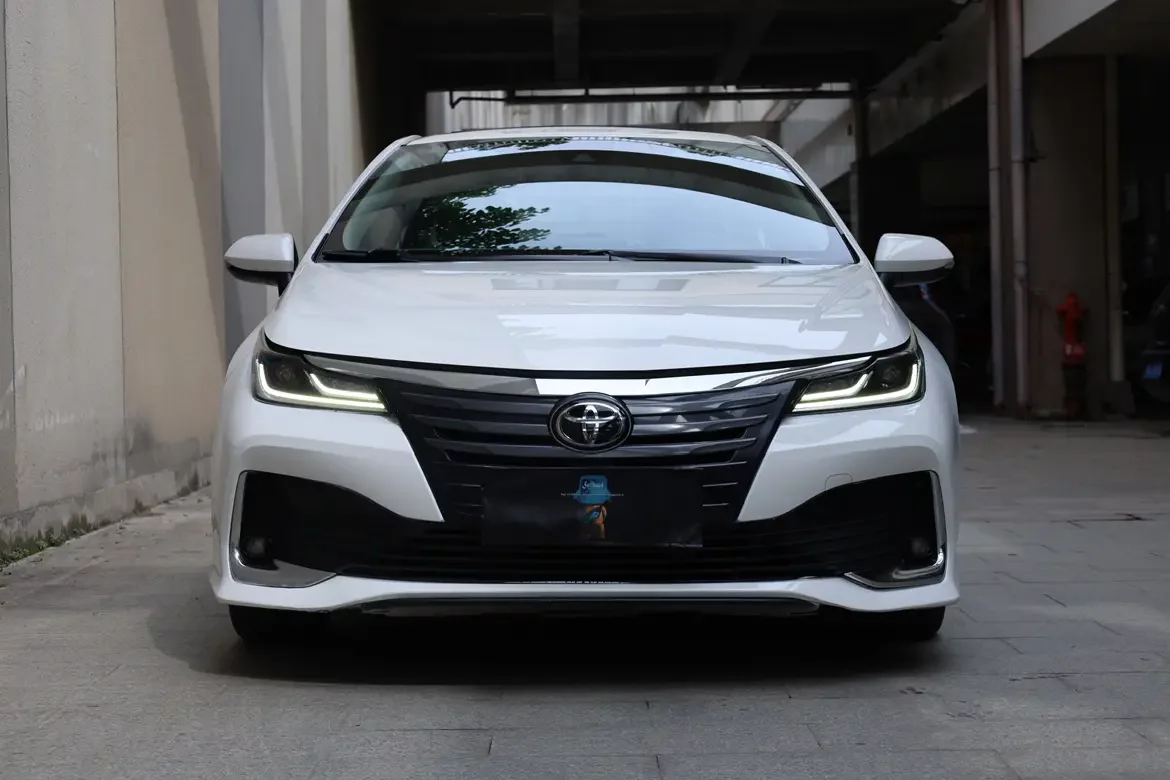 Toyota Asiatic lion