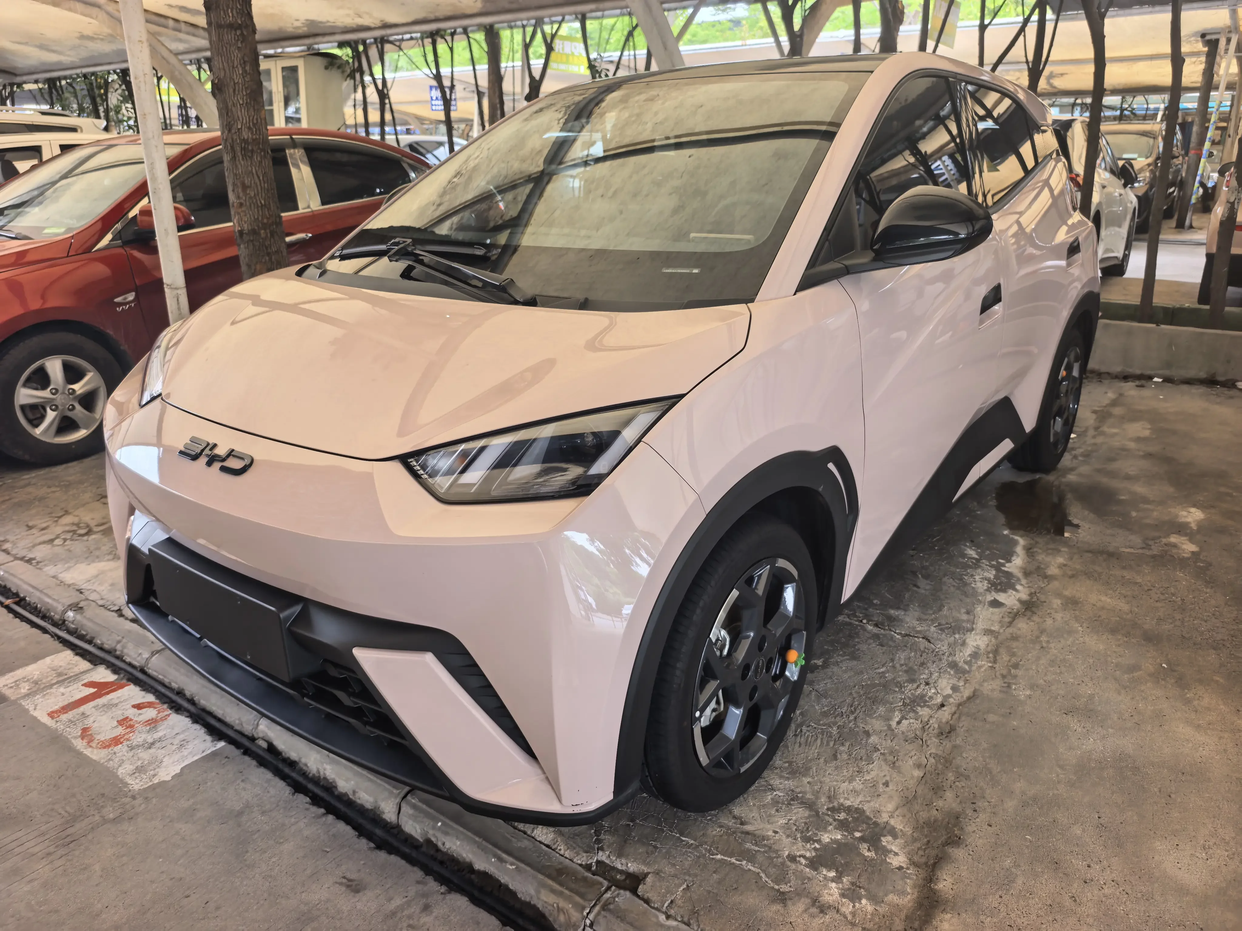 BYD seagull