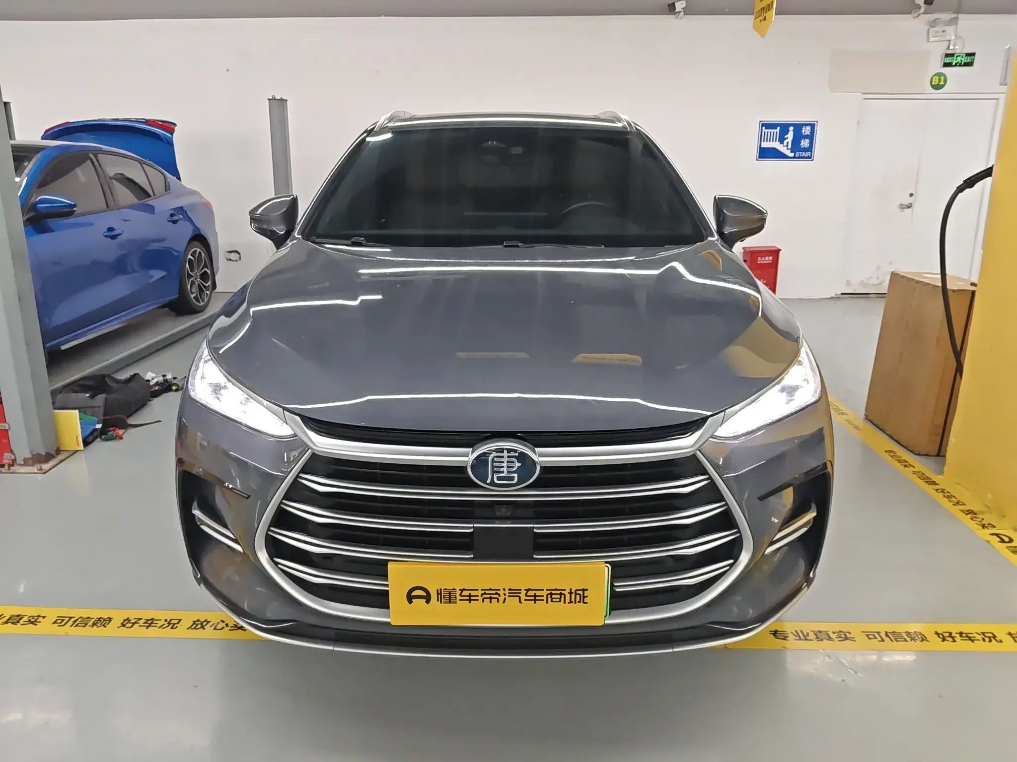 BYD Tang DM