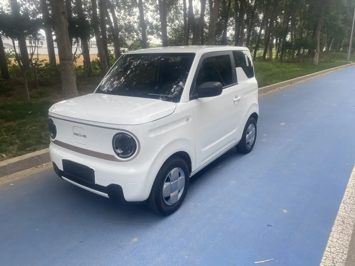Geely panda