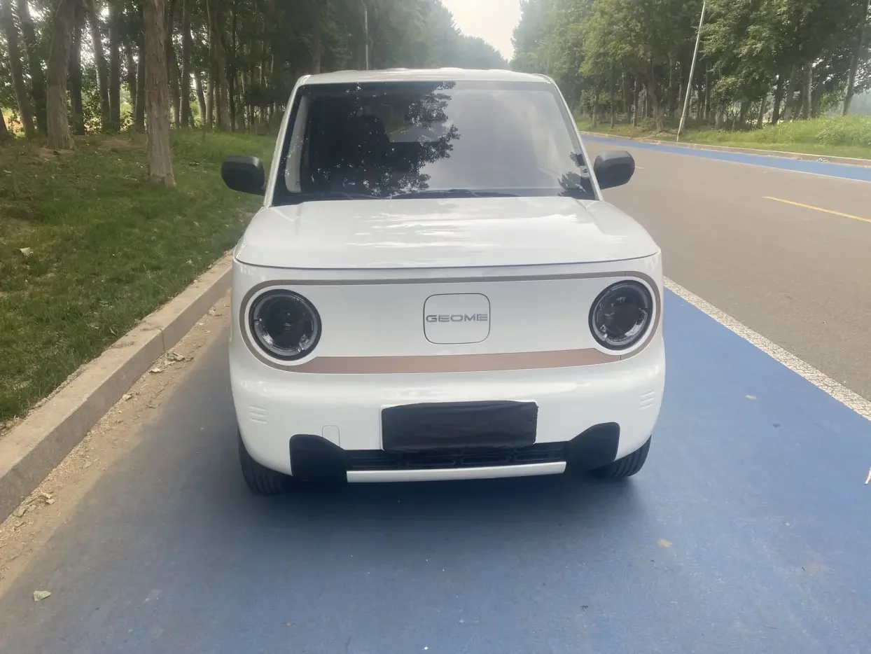 Geely panda