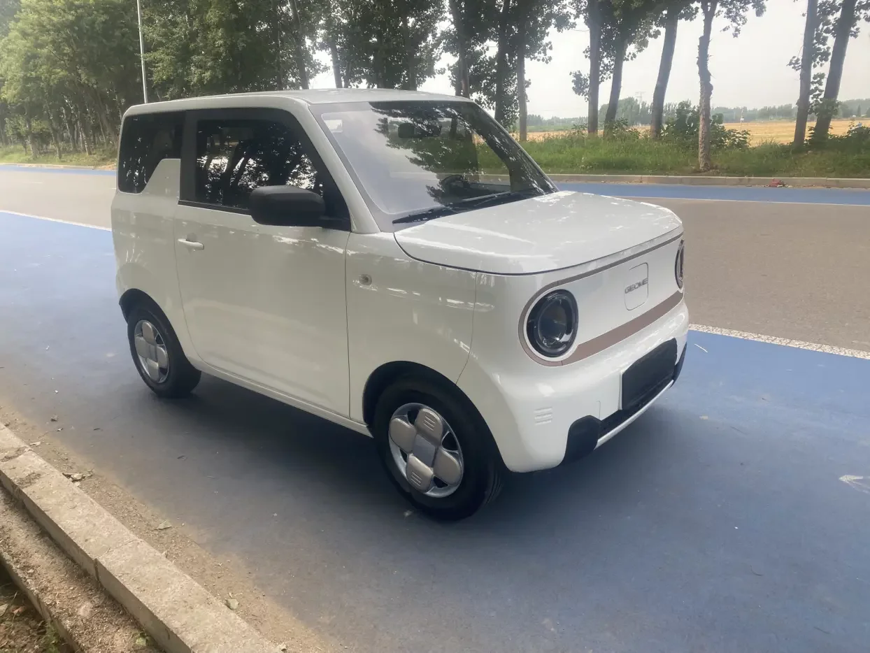 Geely panda