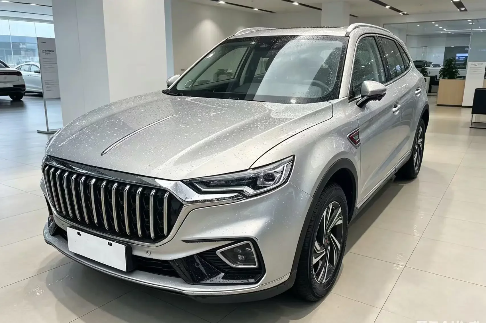 Hongqi HS5