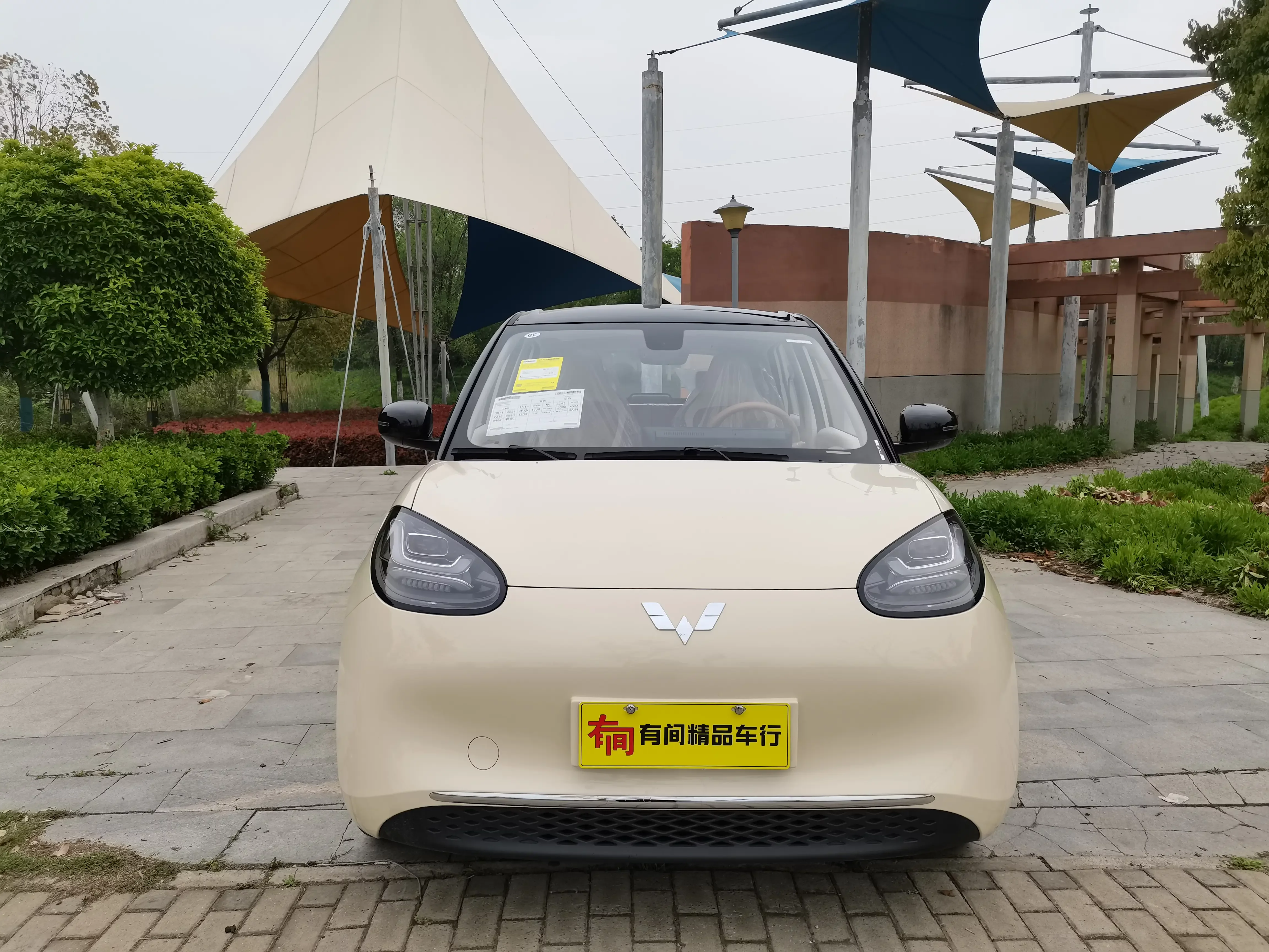 Wuling Bingo