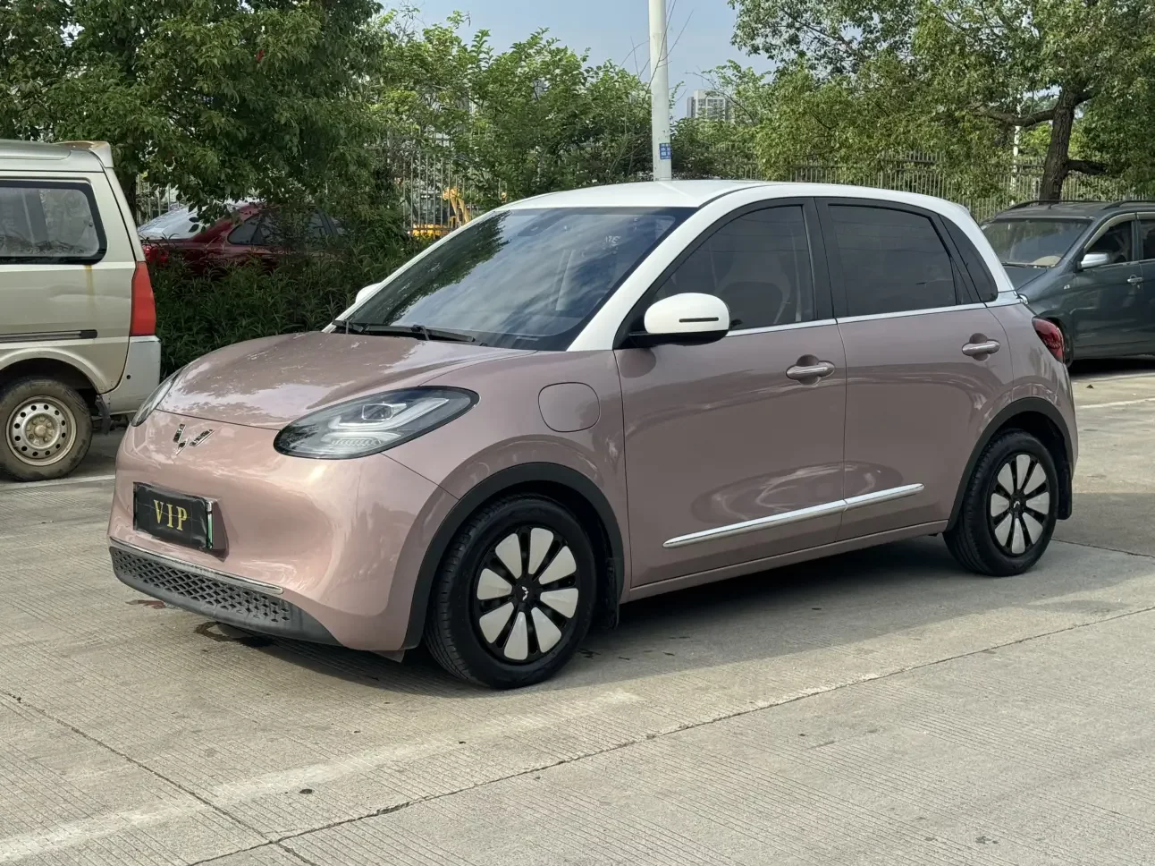 Wuling Bingo