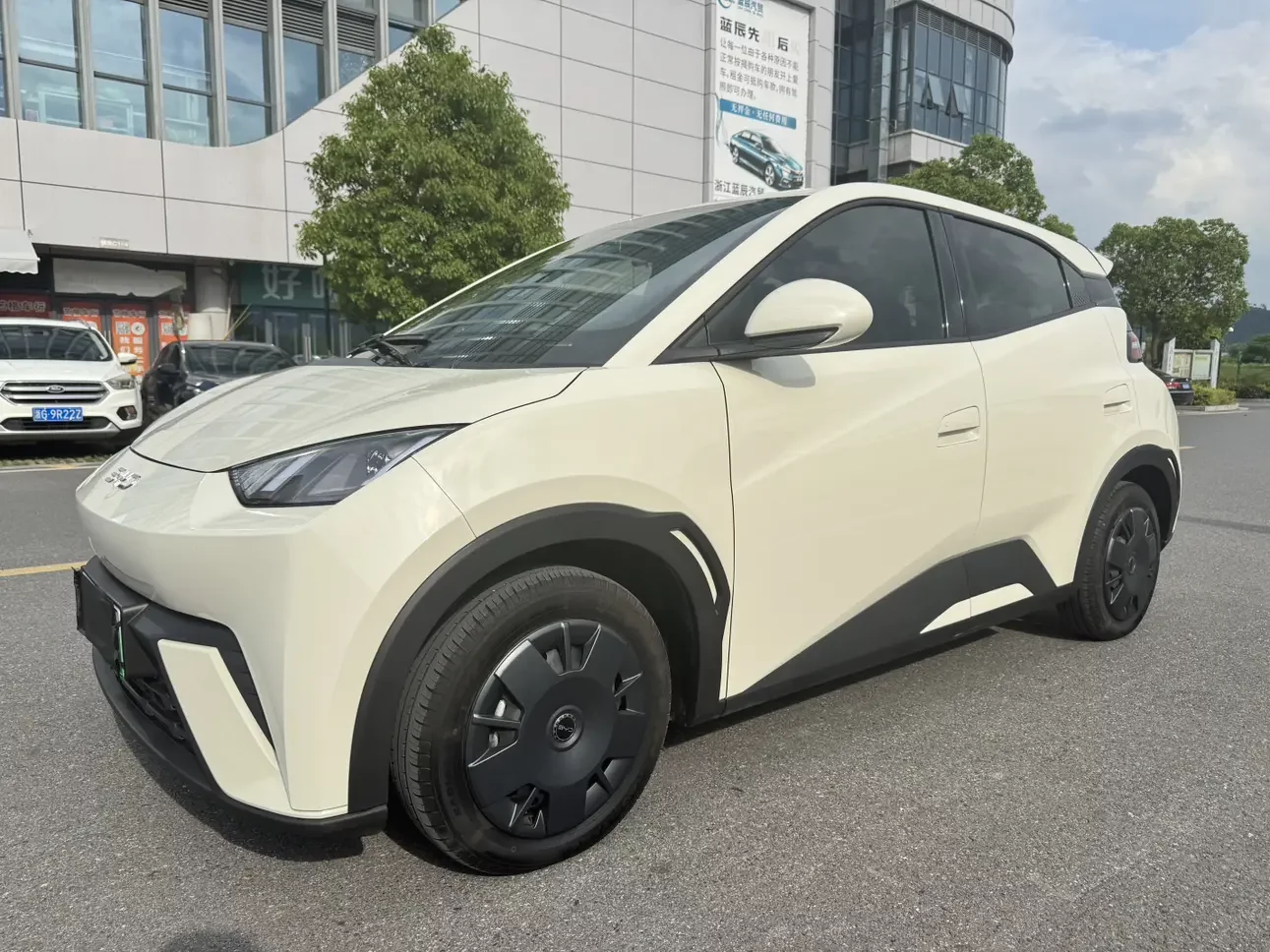 BYD seagull