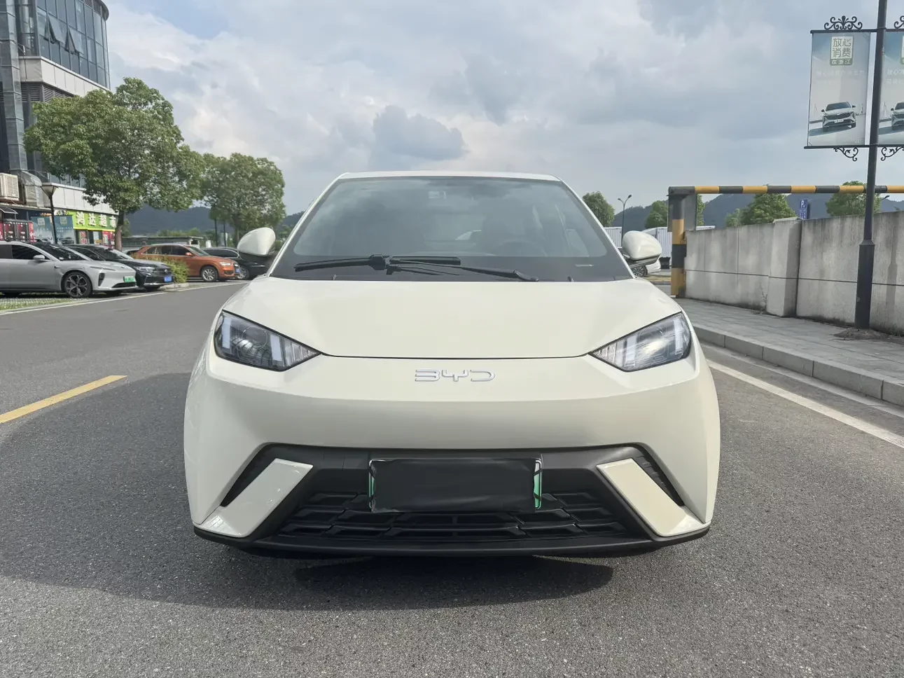 BYD seagull