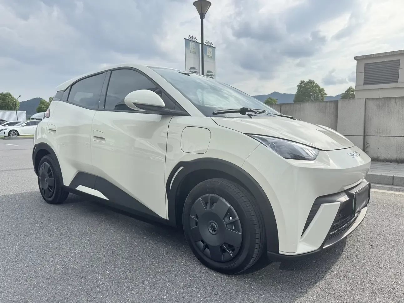 BYD seagull
