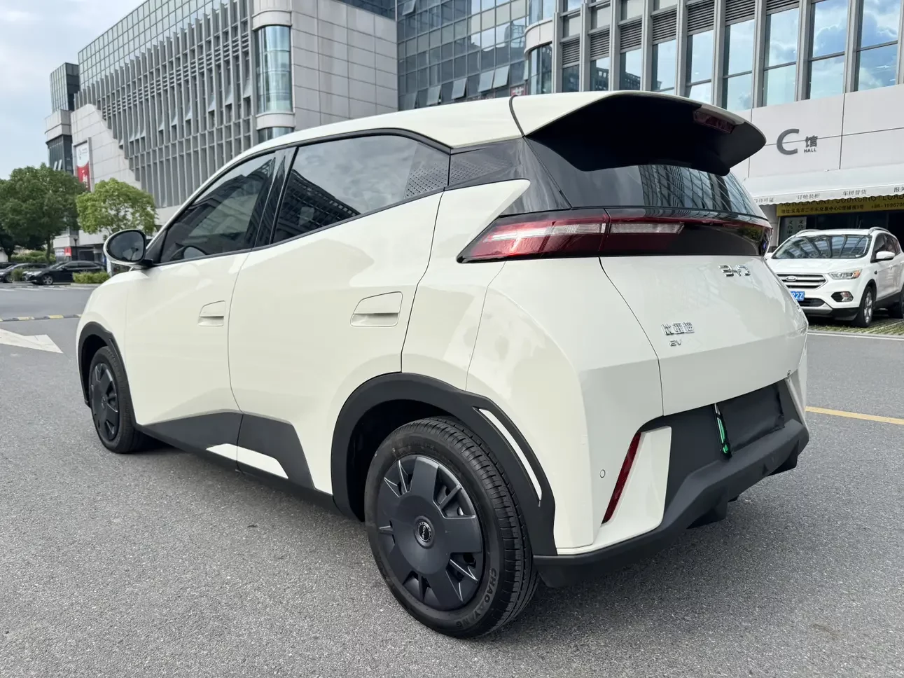 BYD seagull