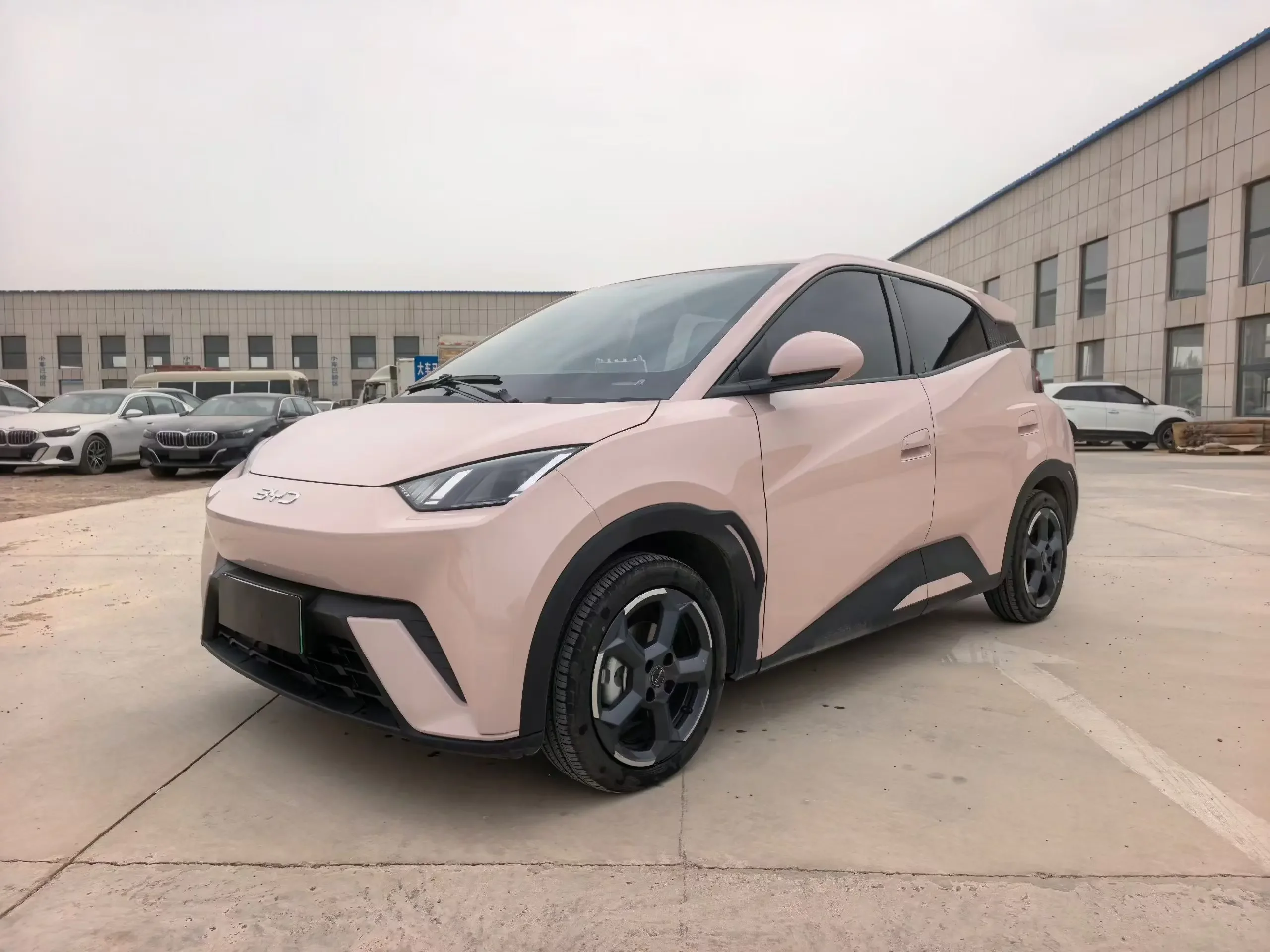 BYD seagull
