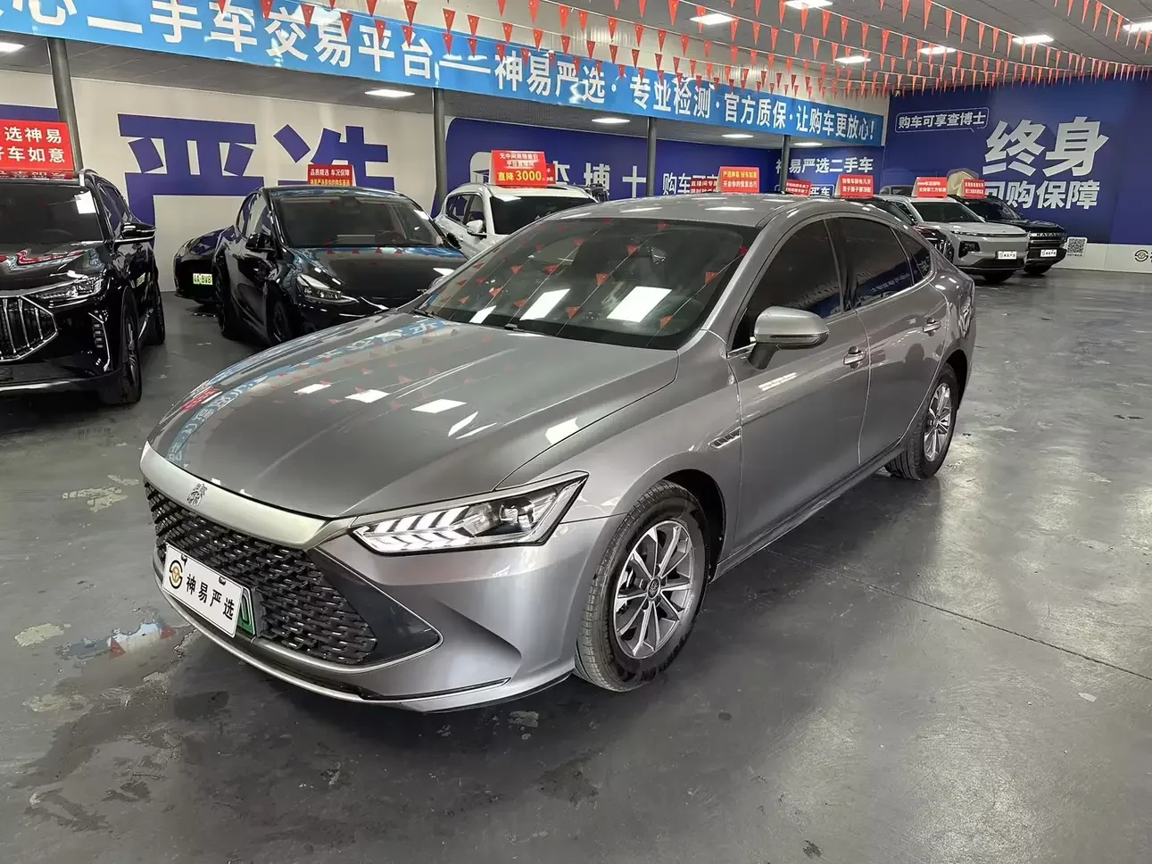 BYD Qin PLUS DM