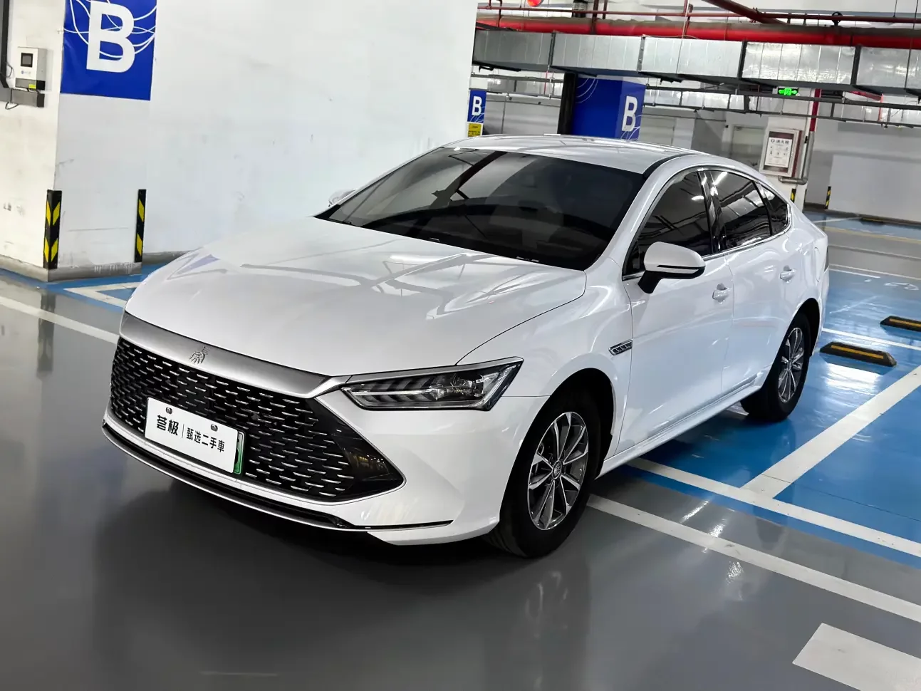 BYD Qin PLUS DM