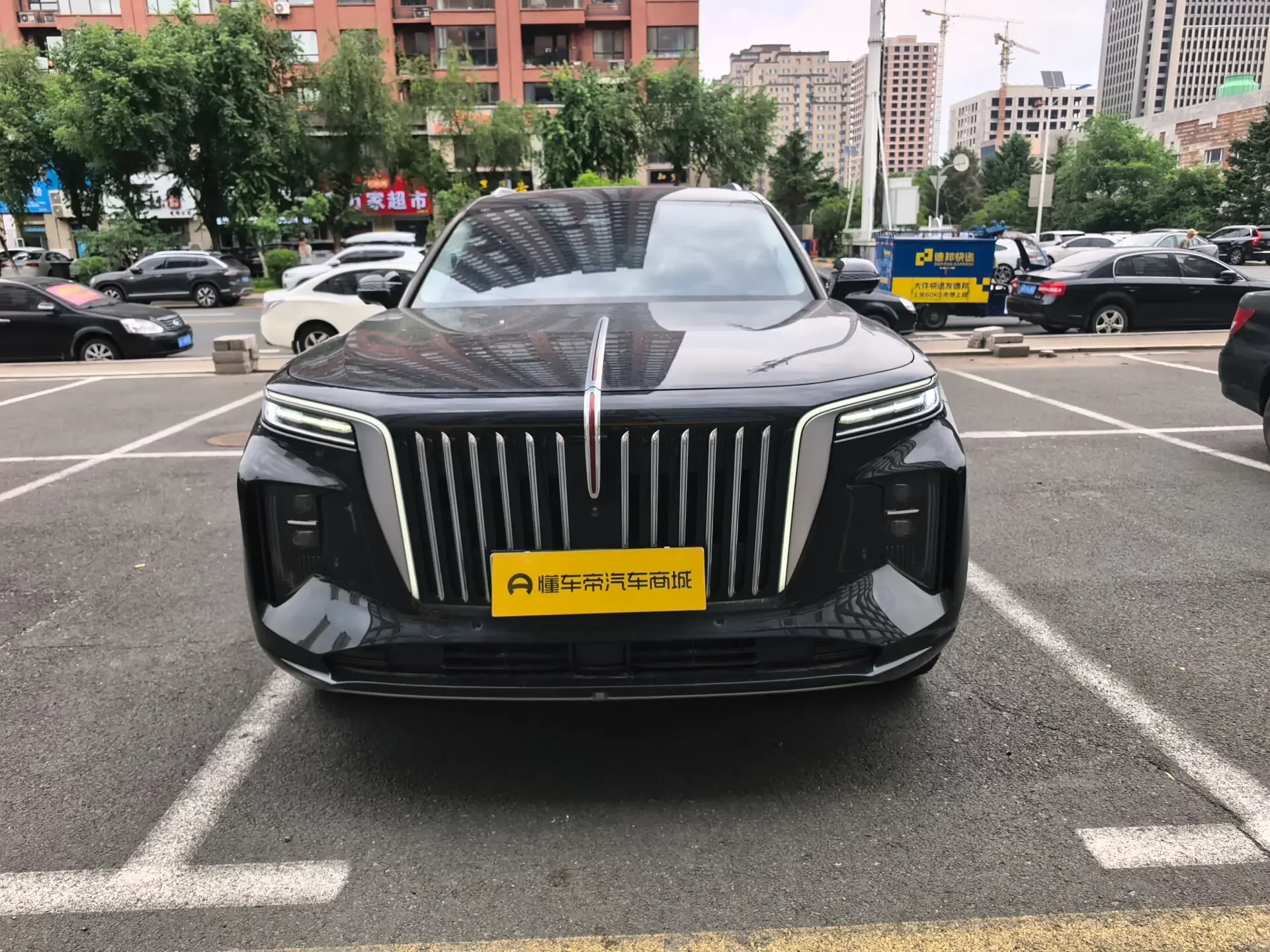 Hongqi E-HS9