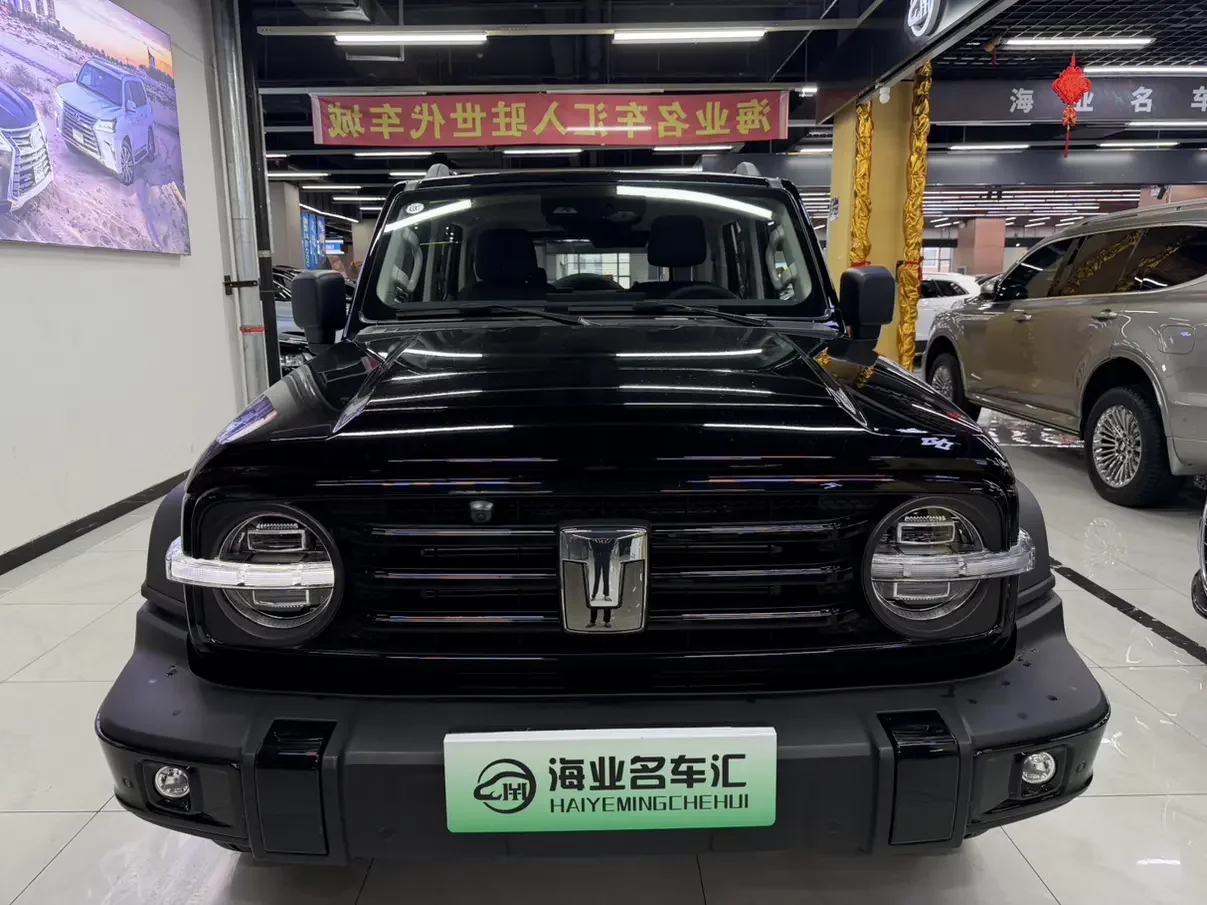 Tank 300 Hi4-T