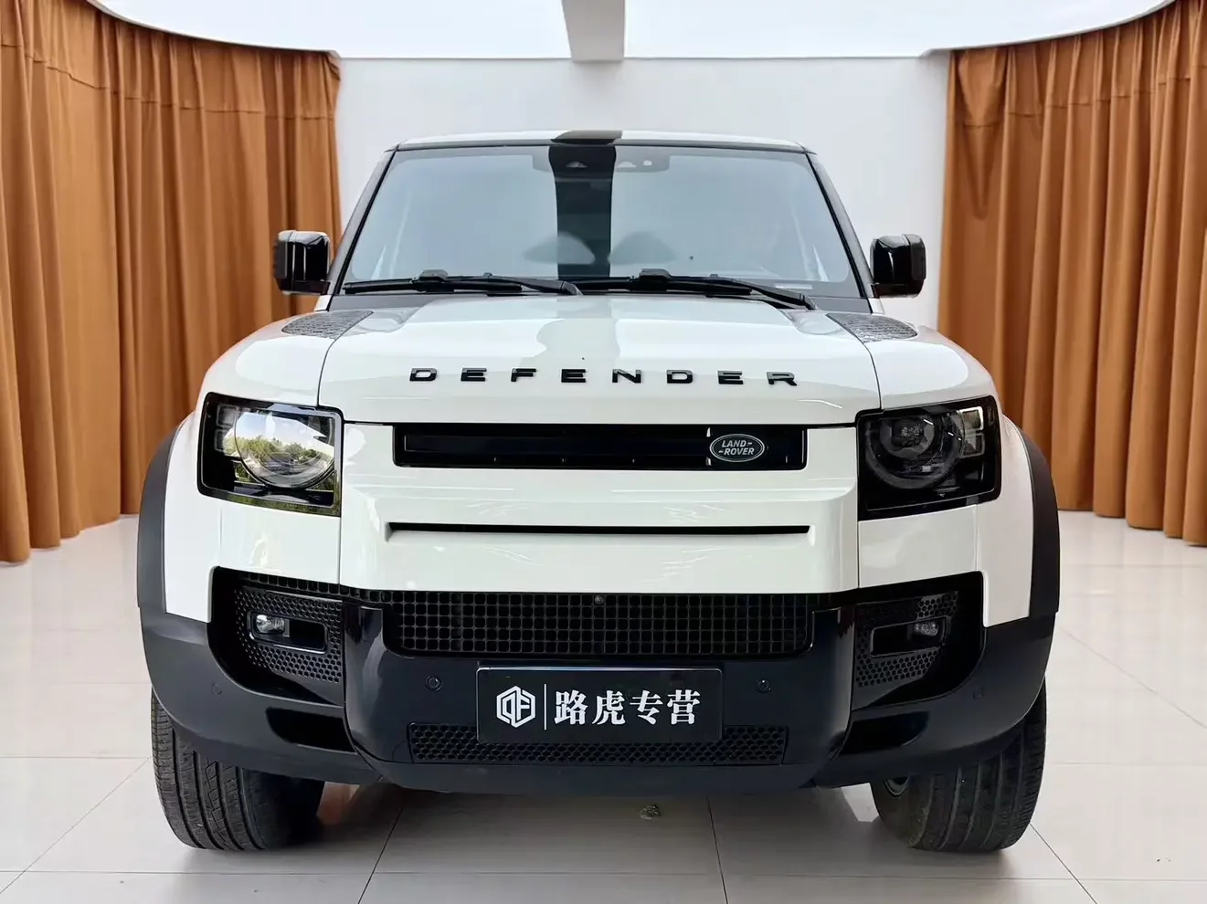Land Rover guard