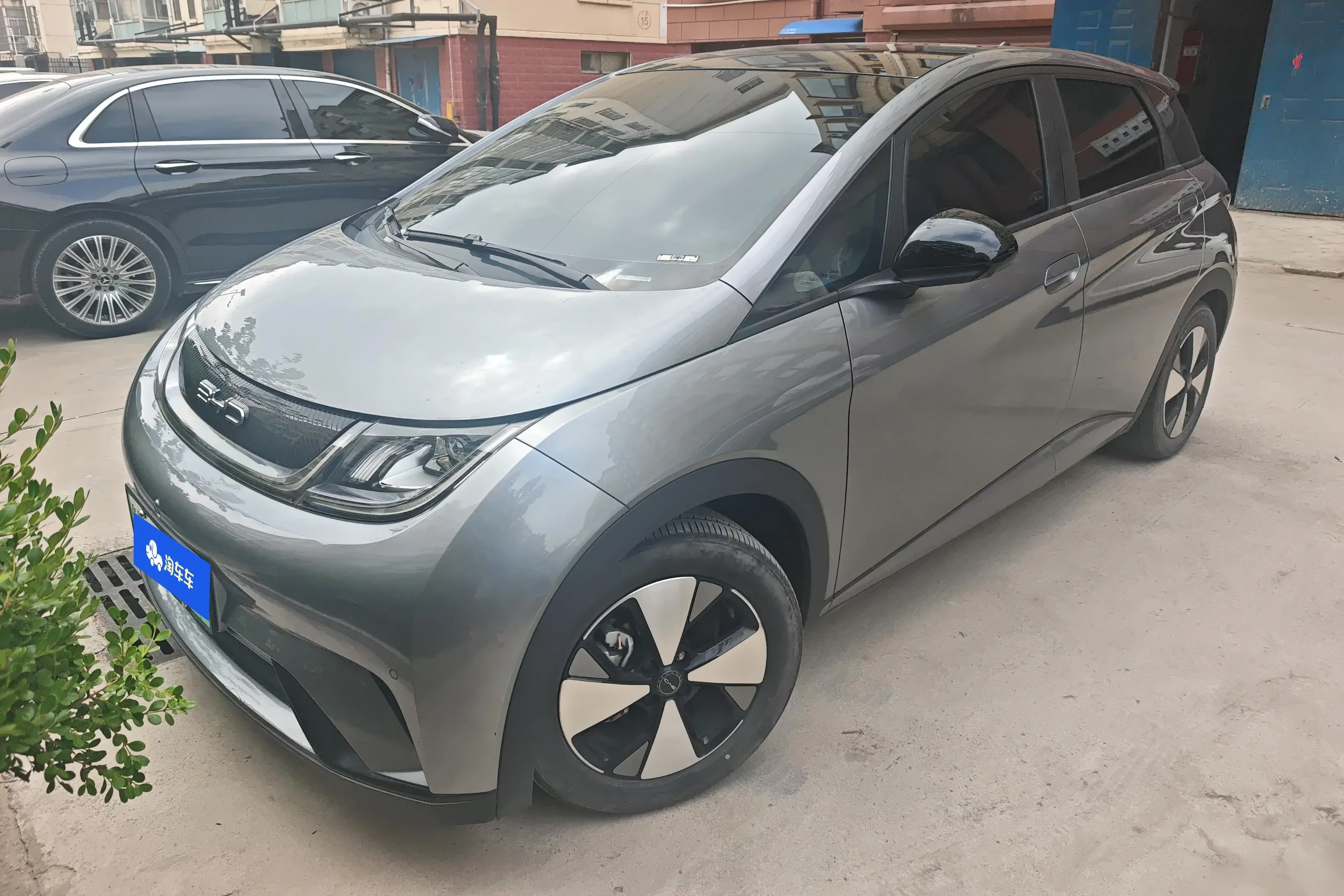 BYD dolphin