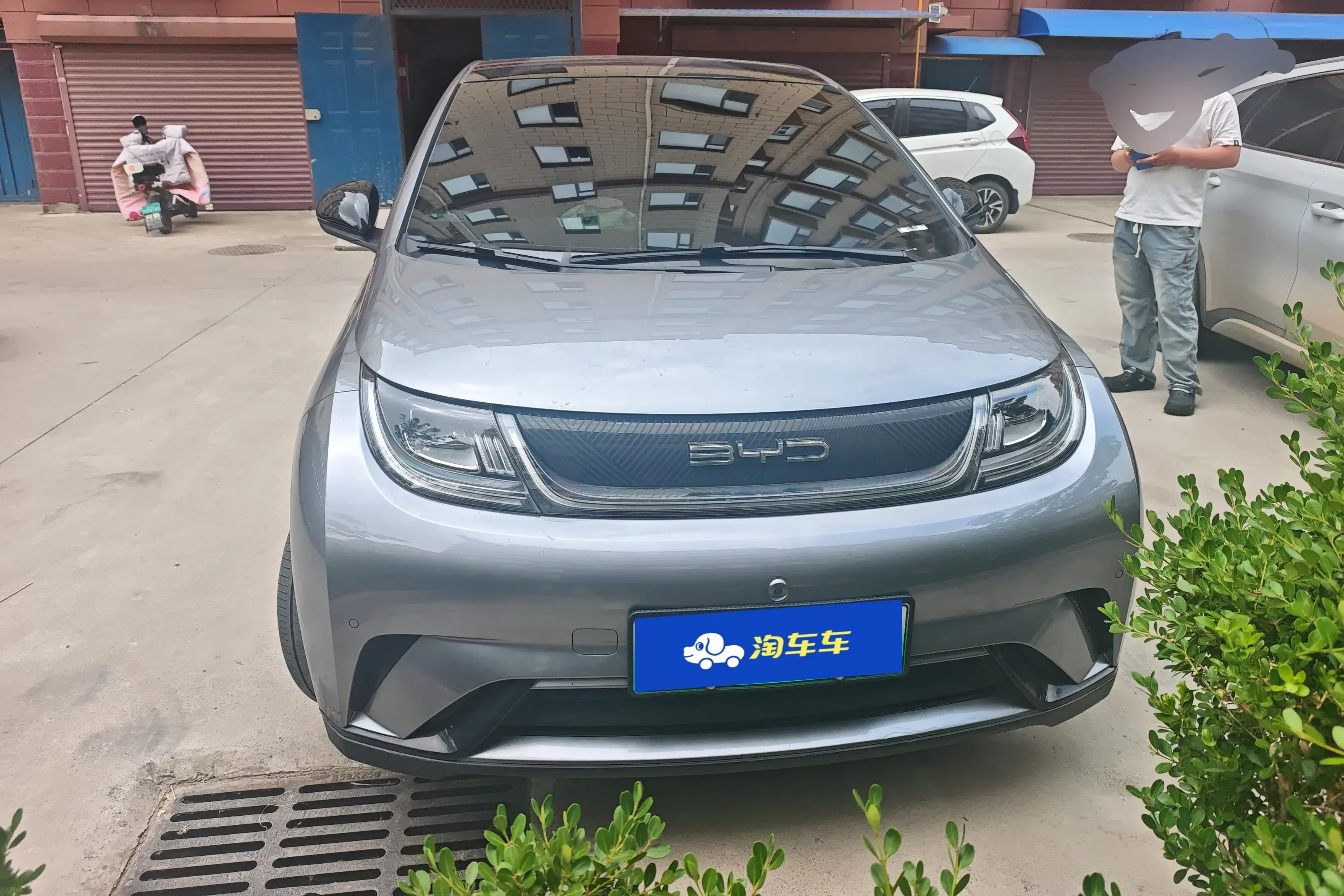 BYD dolphin