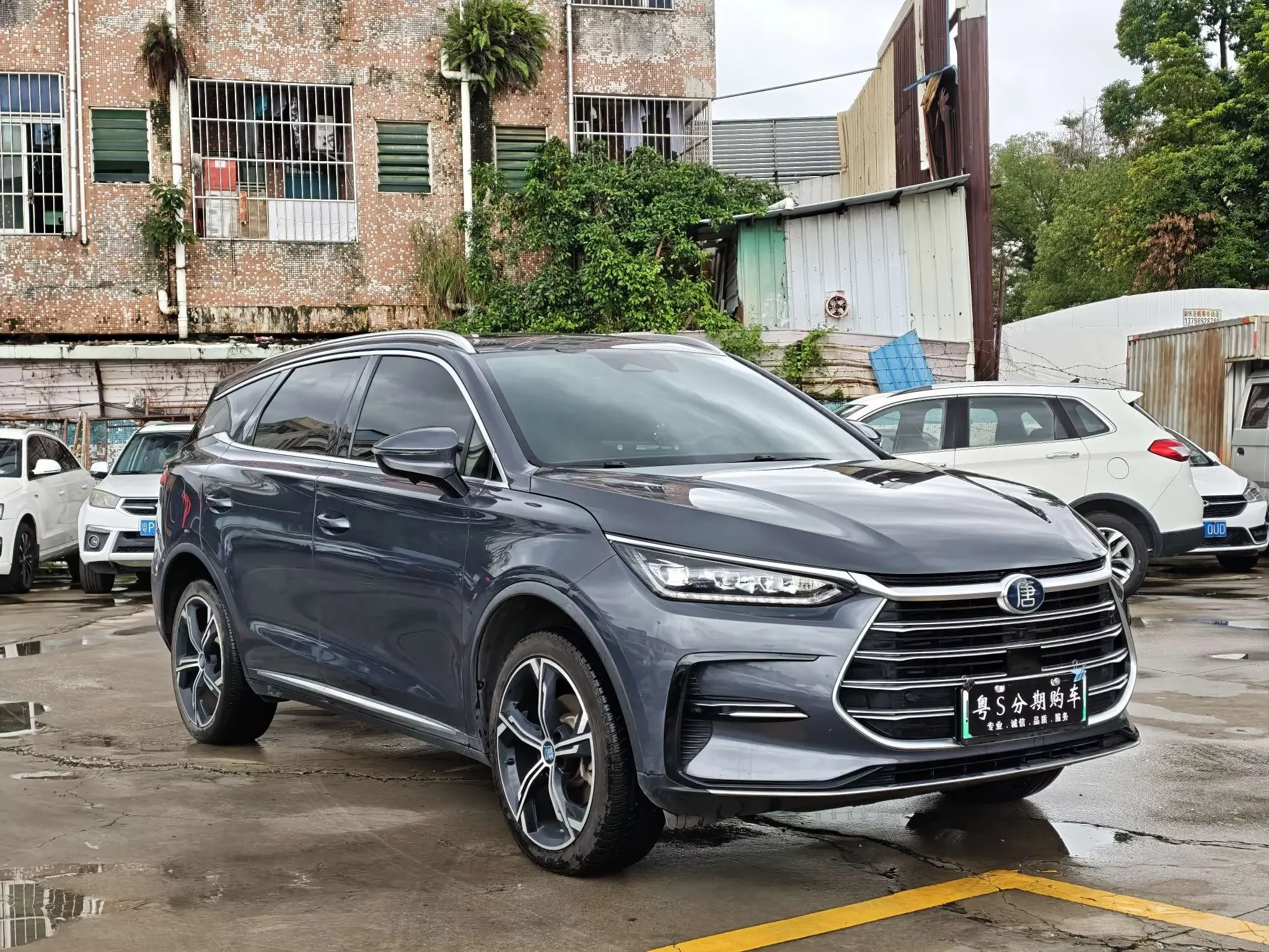 BYD Tang DM