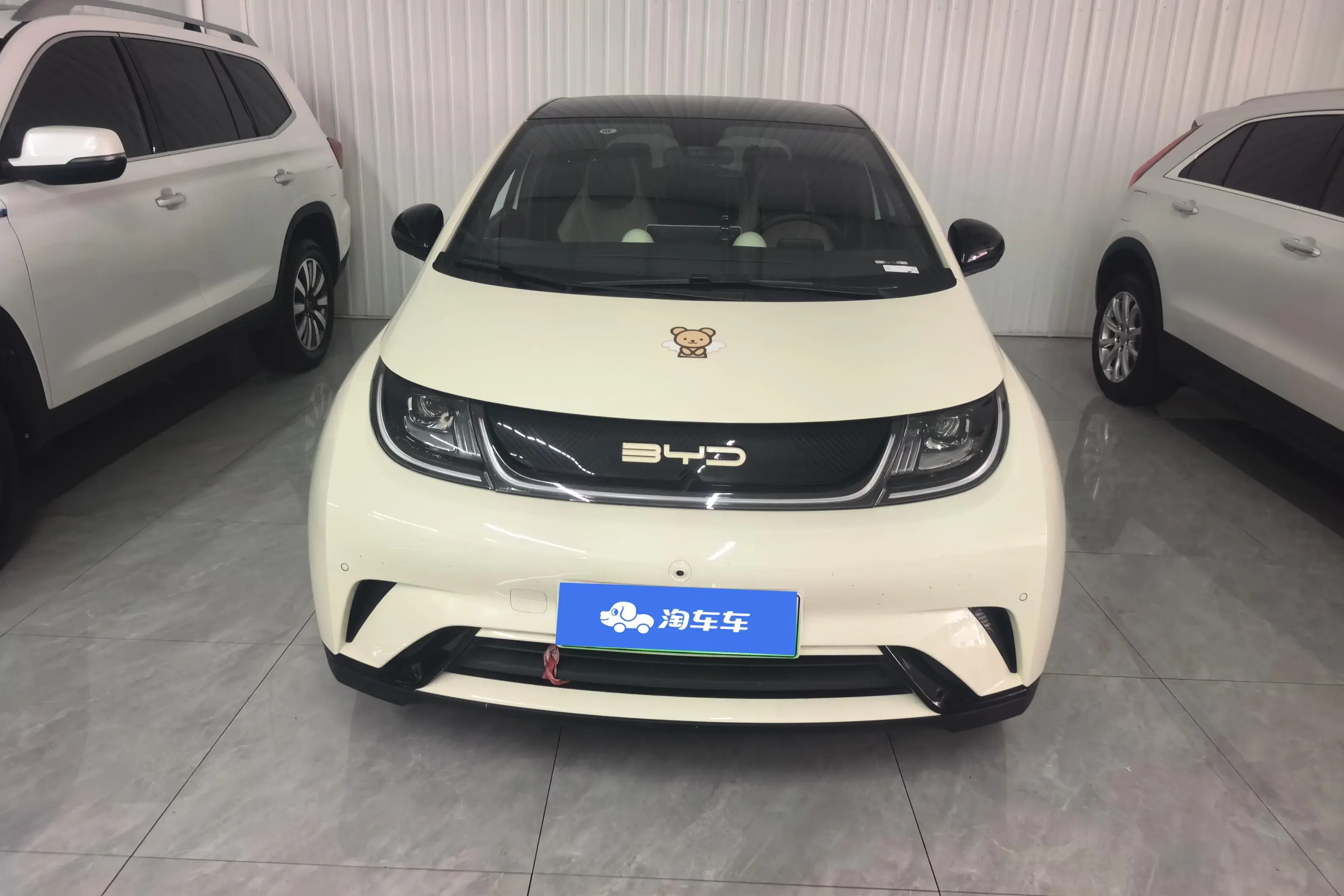 BYD dolphin
