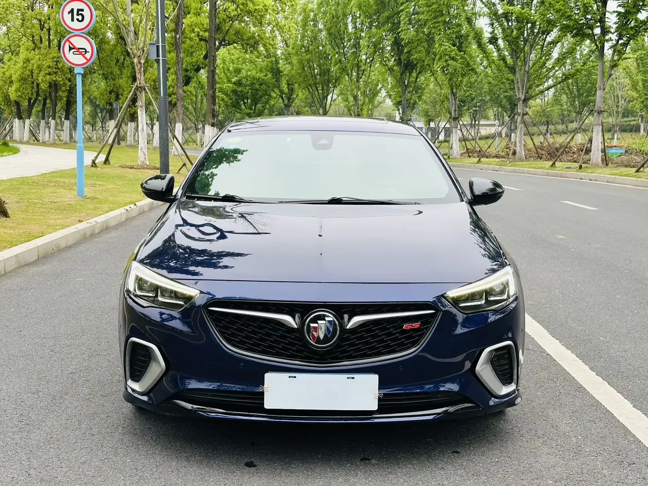 Buick Majesty