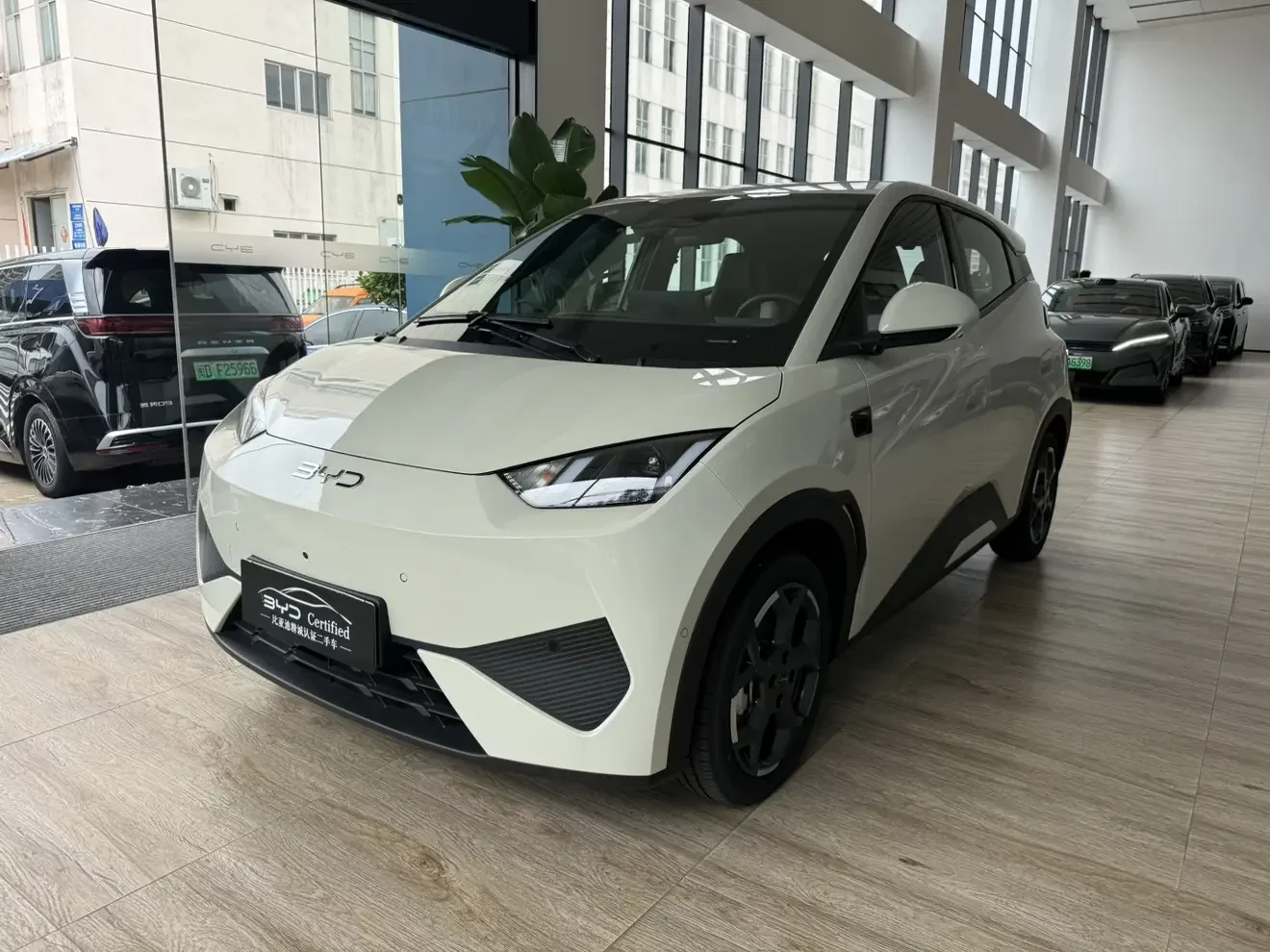BYD seagull