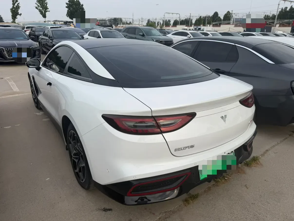 Hozon Neta GT
