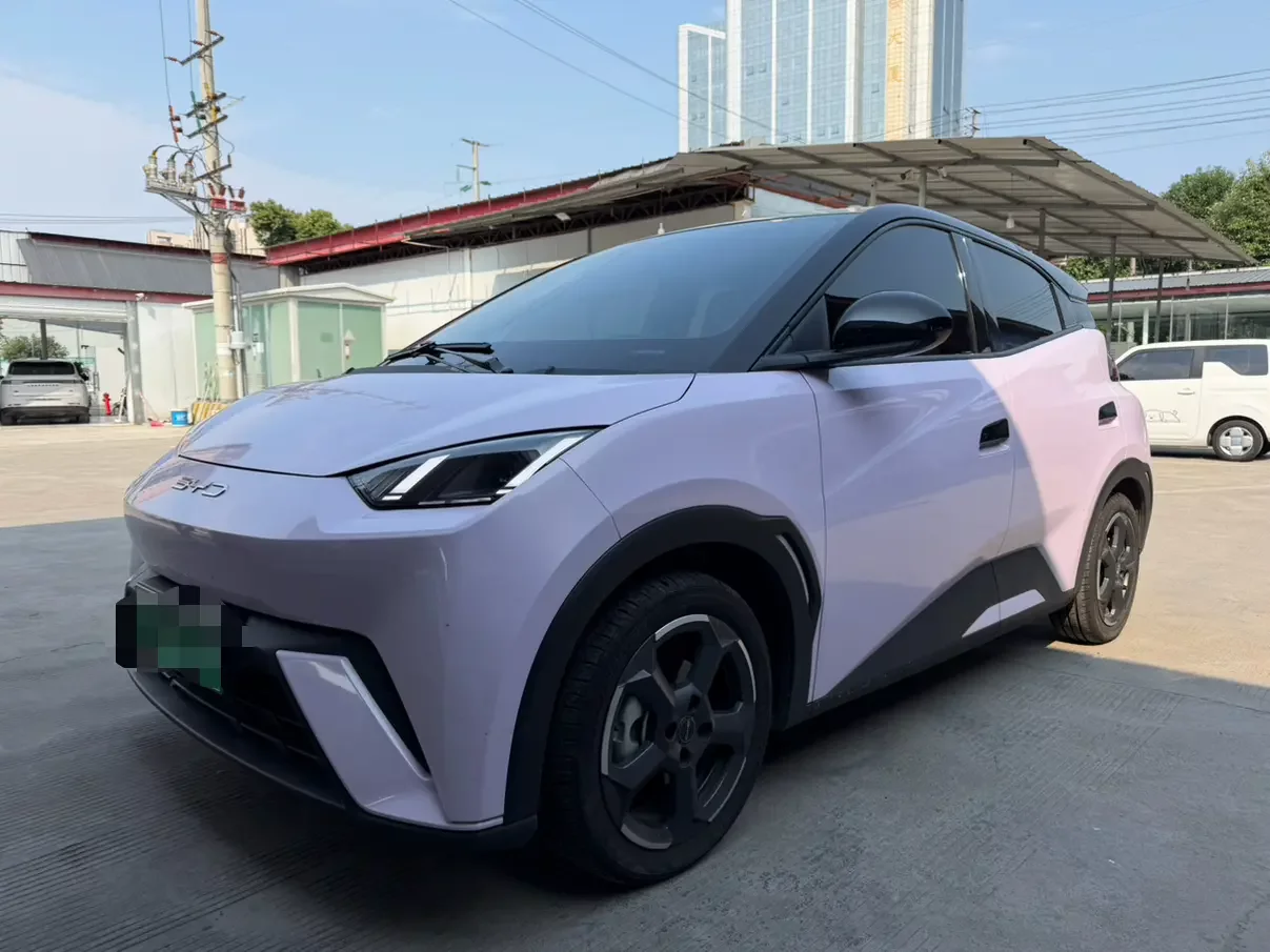 BYD seagull