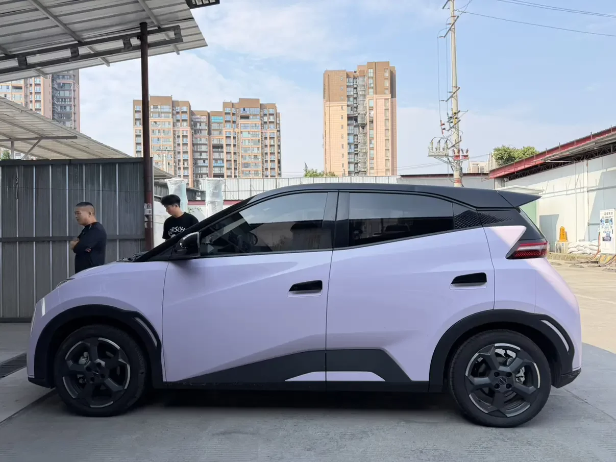 BYD seagull