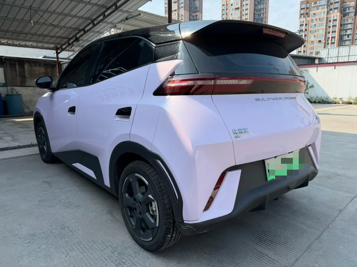 BYD seagull