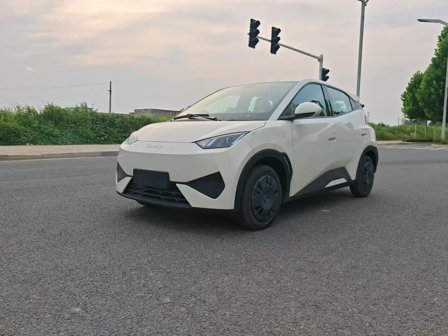 BYD seagull