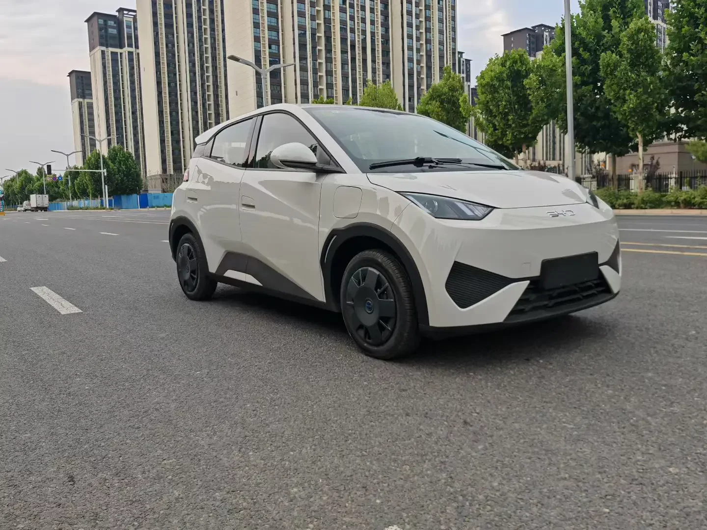 BYD seagull