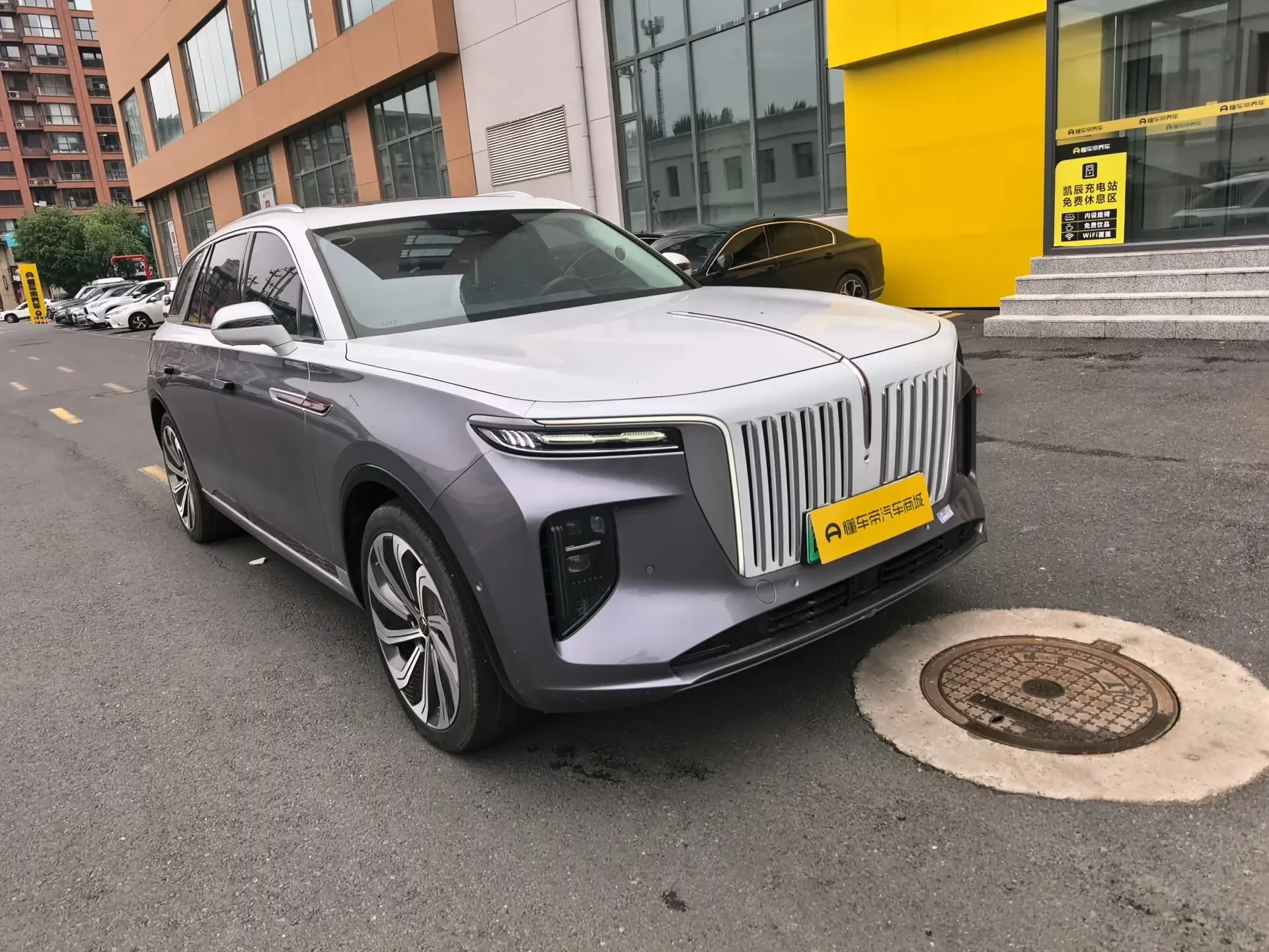 Hongqi E-HS9