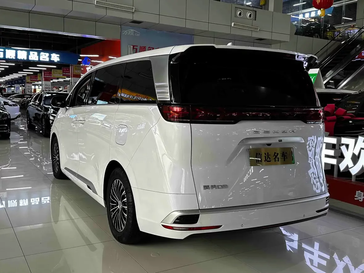 Denza D9 DM