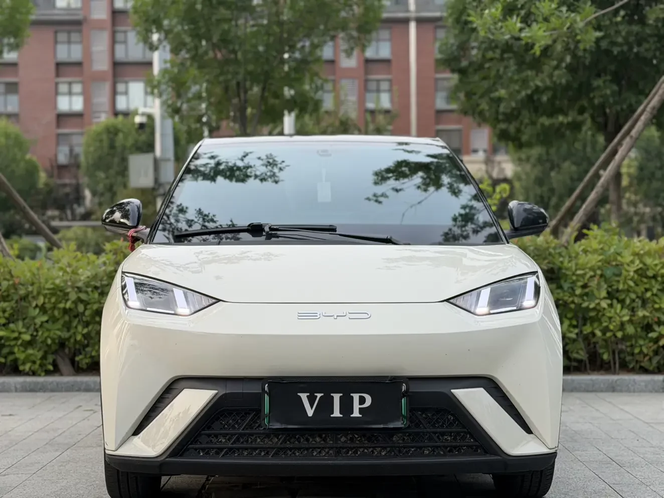BYD seagull
