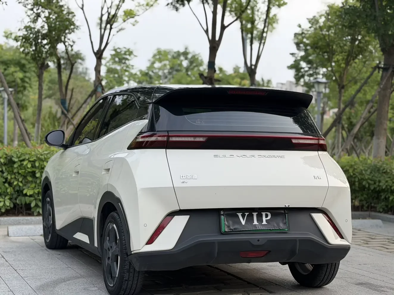 BYD seagull