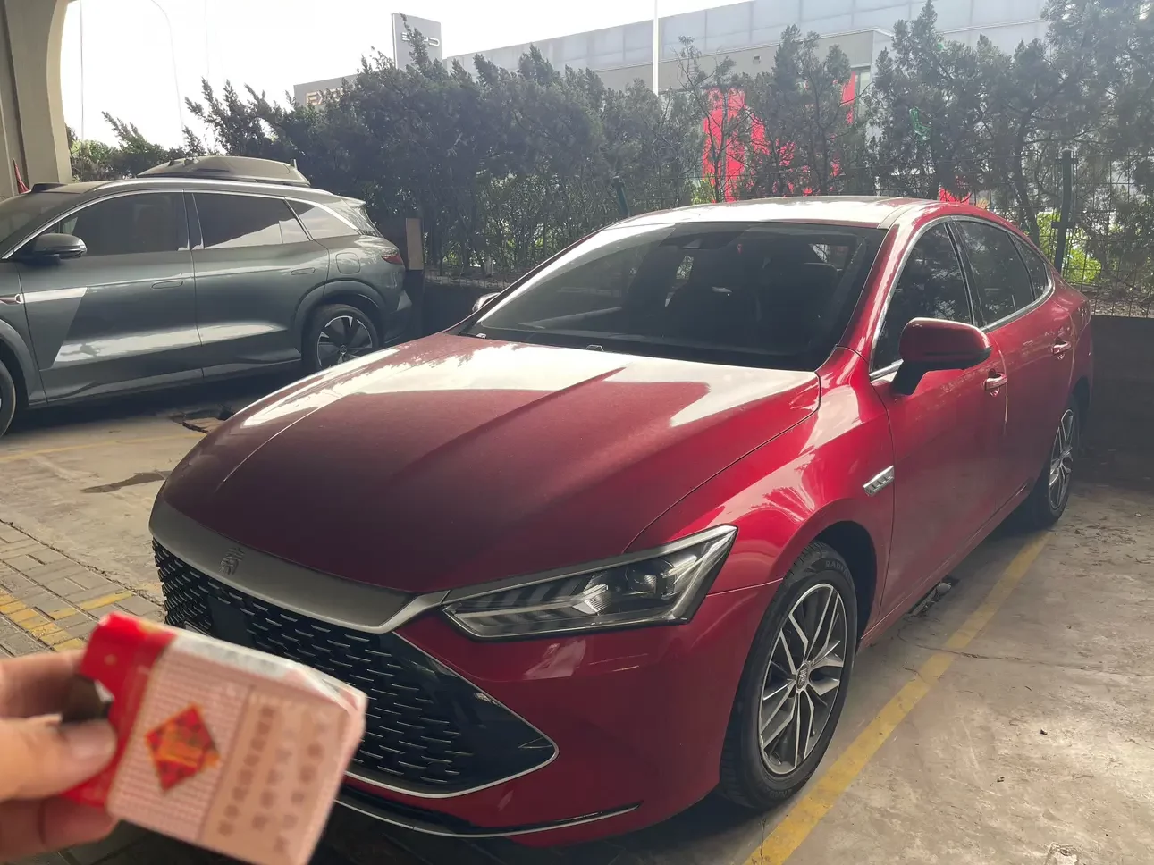 BYD Qin PLUS DM