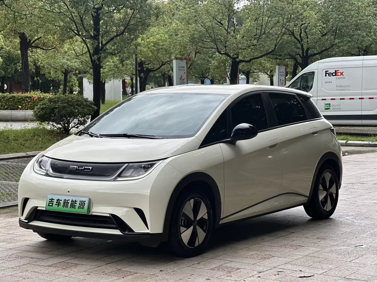 BYD dolphin