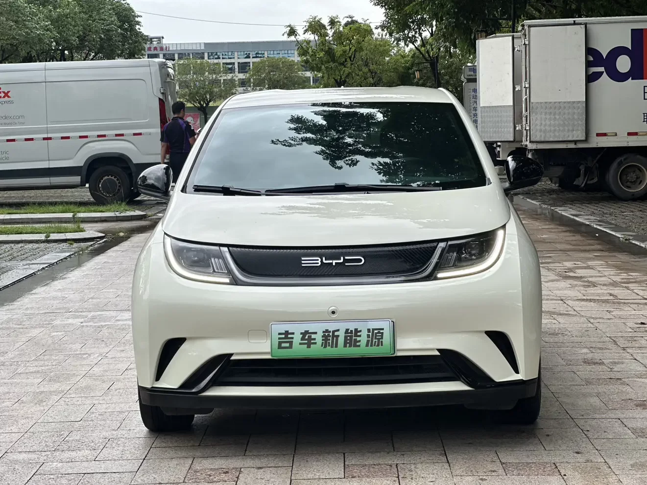 BYD dolphin