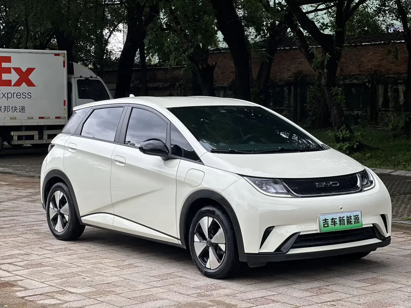 BYD dolphin