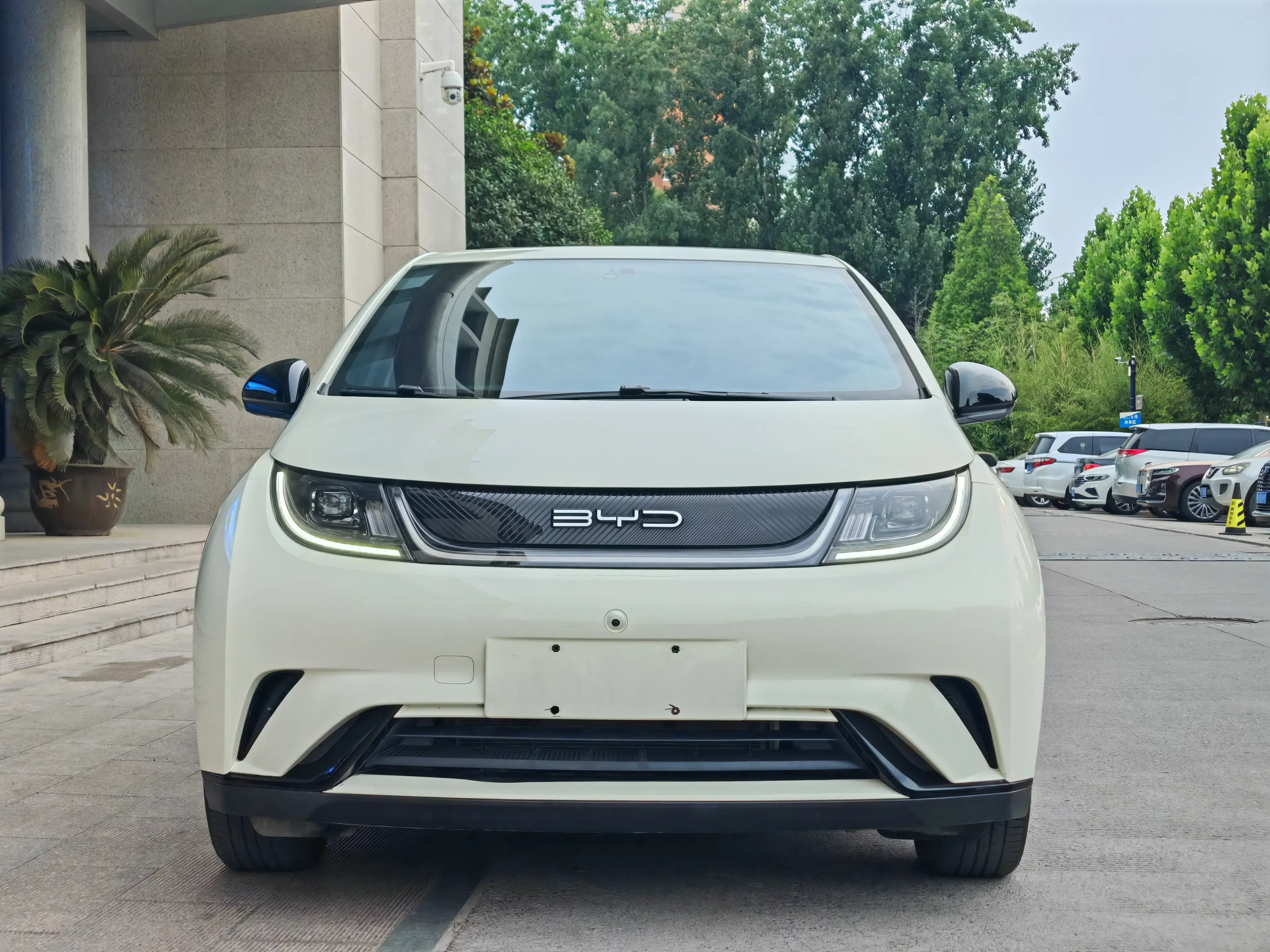 BYD dolphin