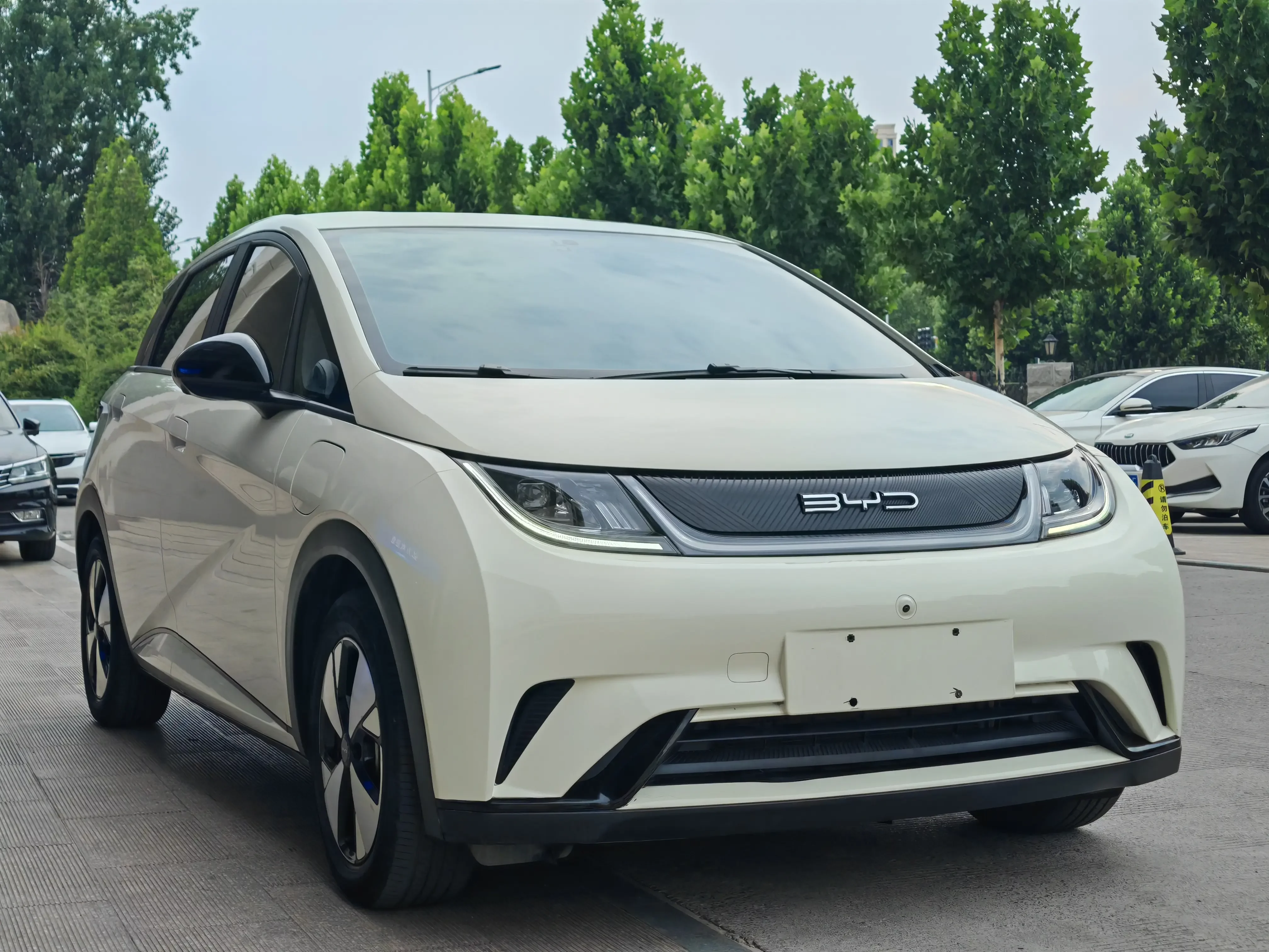 BYD dolphin