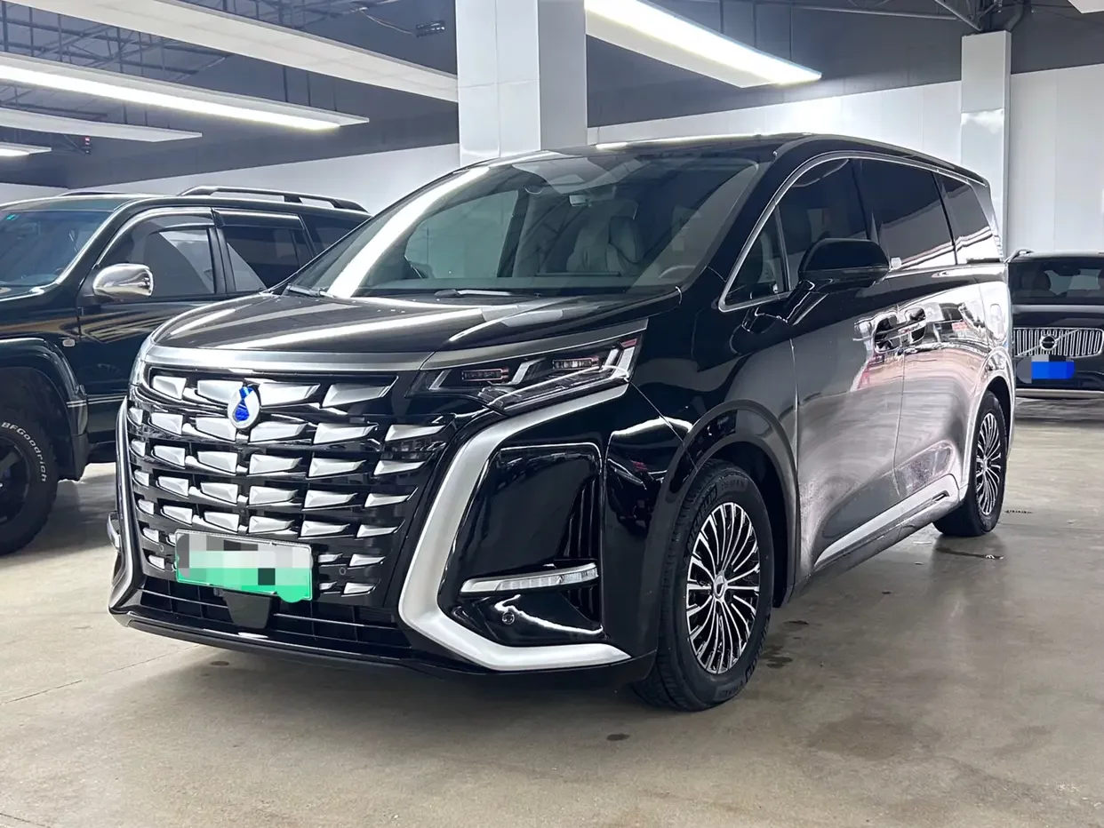 Denza D9 DM