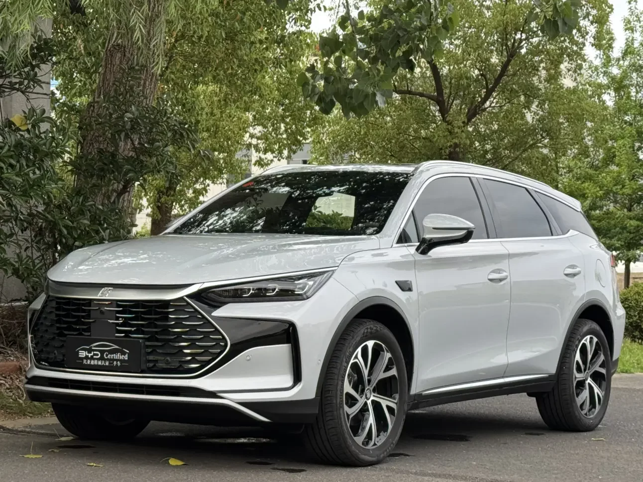 BYD Tang DM