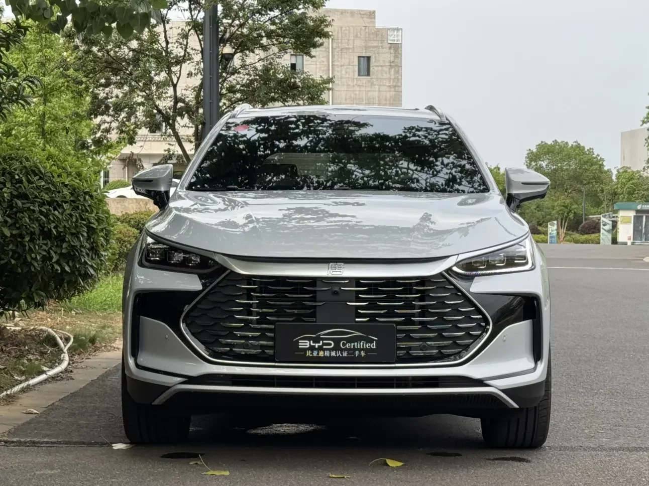 BYD Tang DM