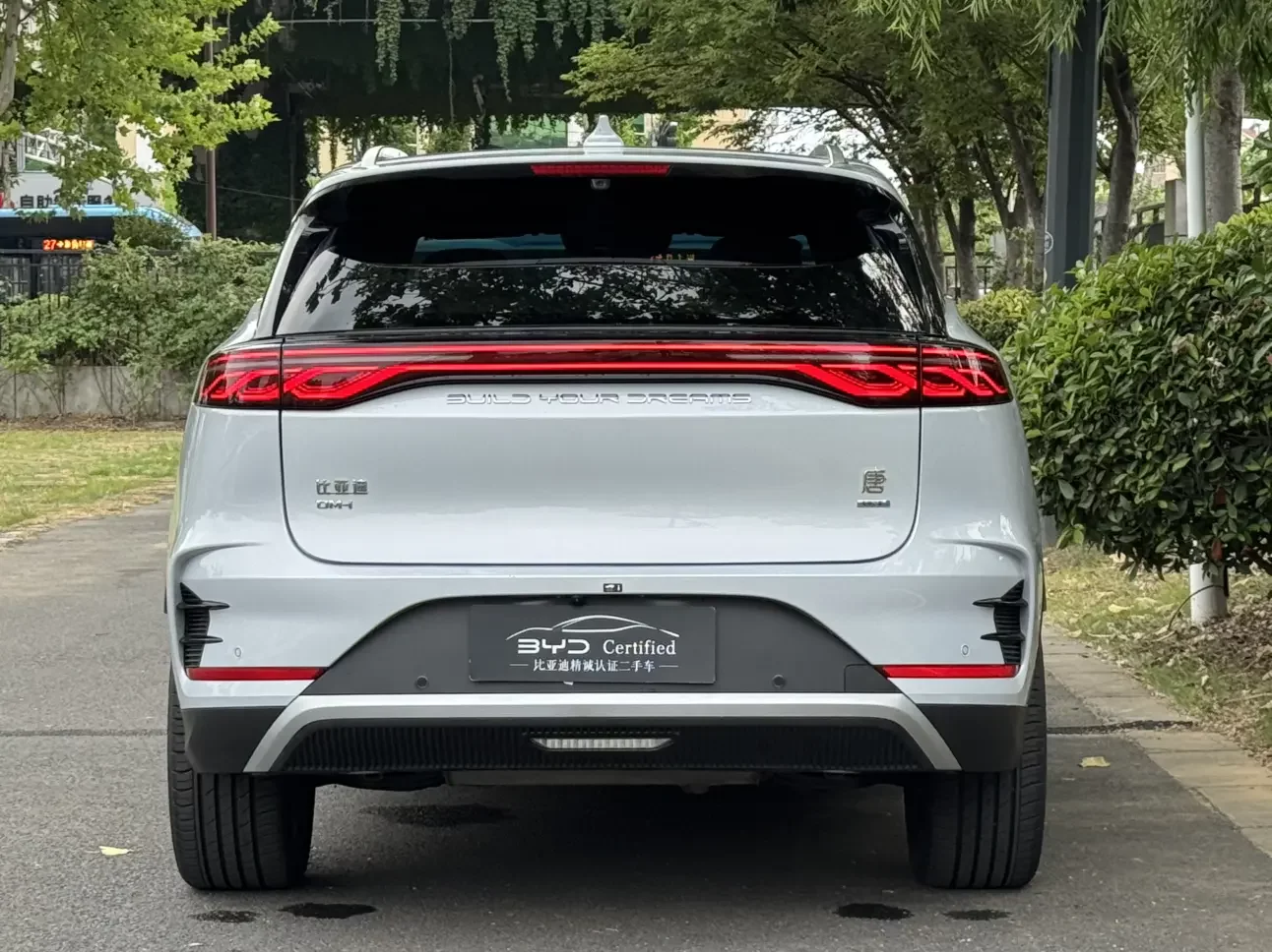 BYD Tang DM