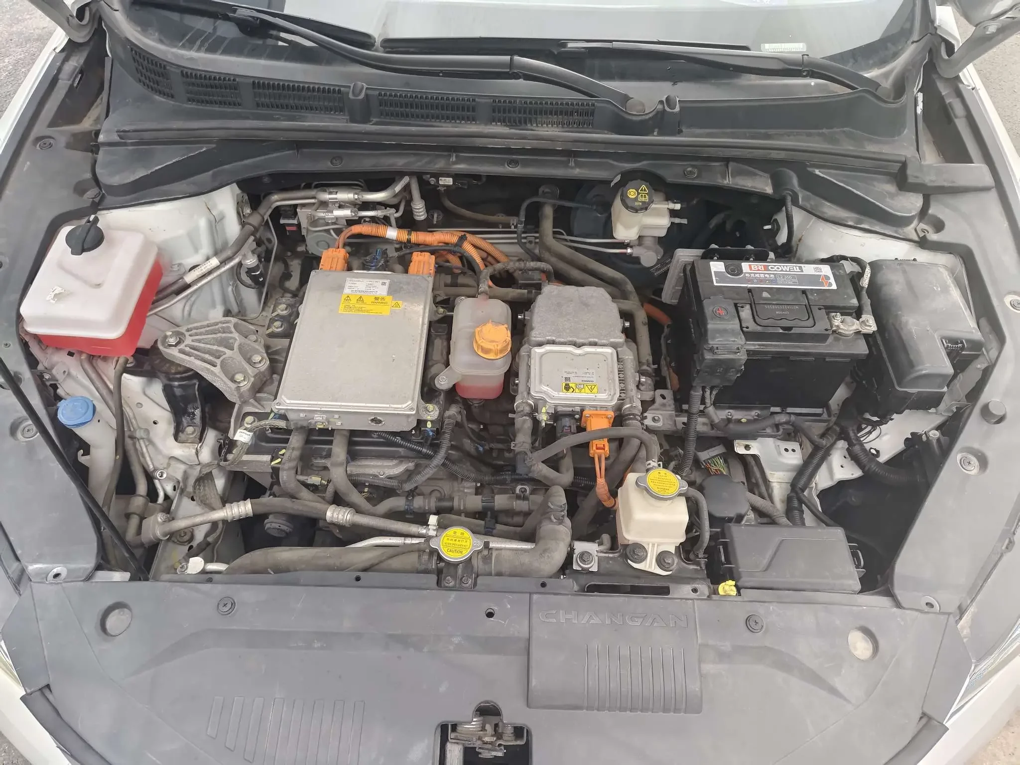 Changan Eado EV