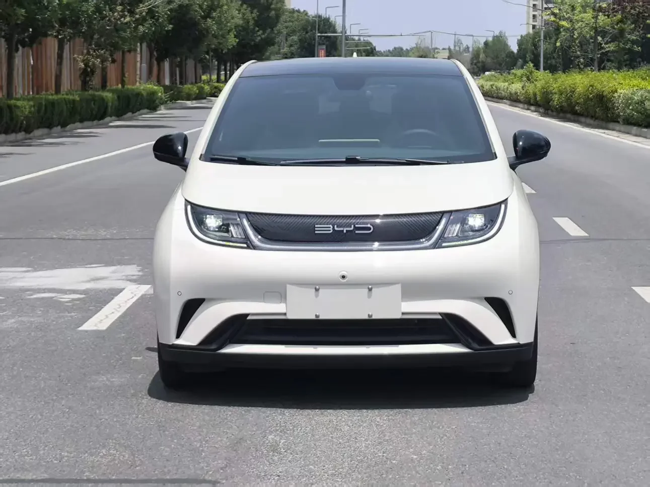 BYD dolphin