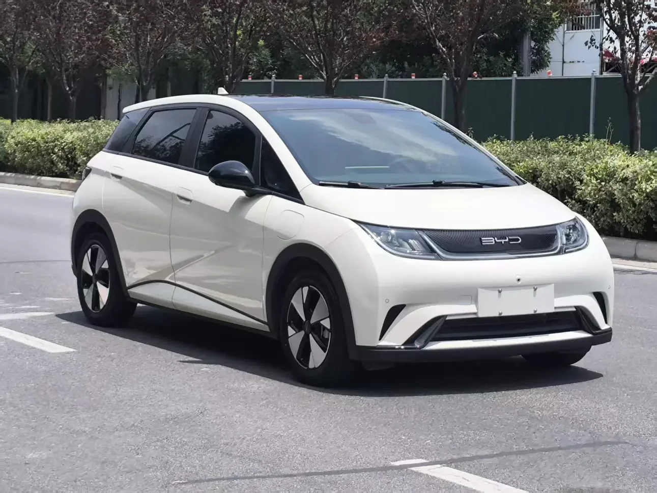 BYD dolphin